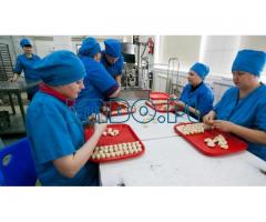 Продукция полуфабрикатов.